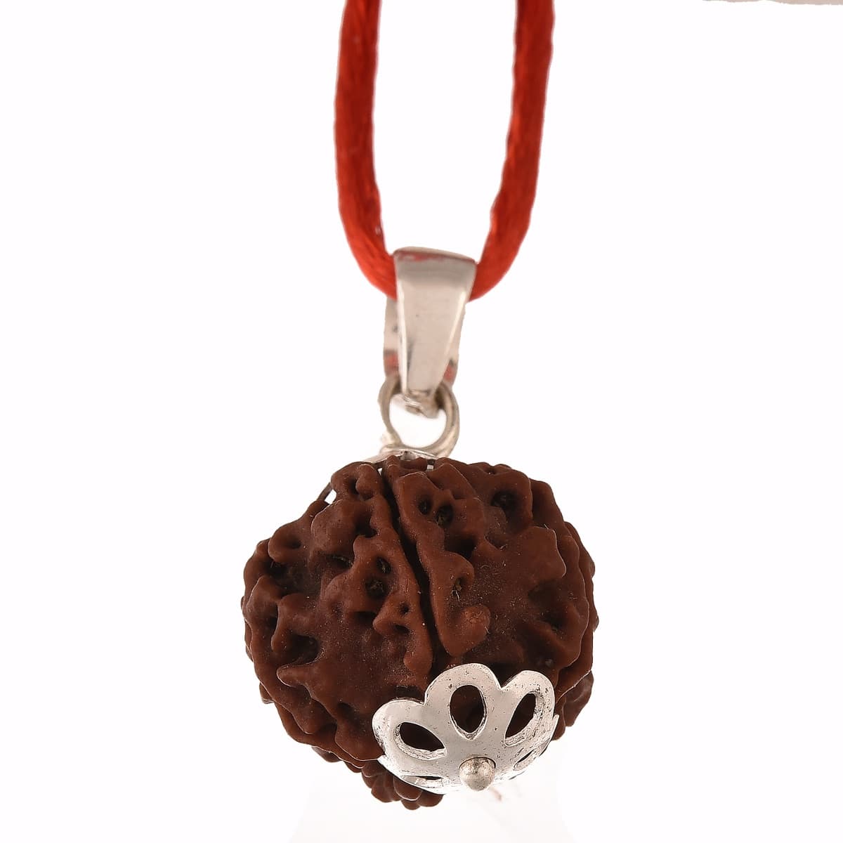 Amorfos® 5 Mukhi Rudraksha Nepali (Size: 15-18mm)