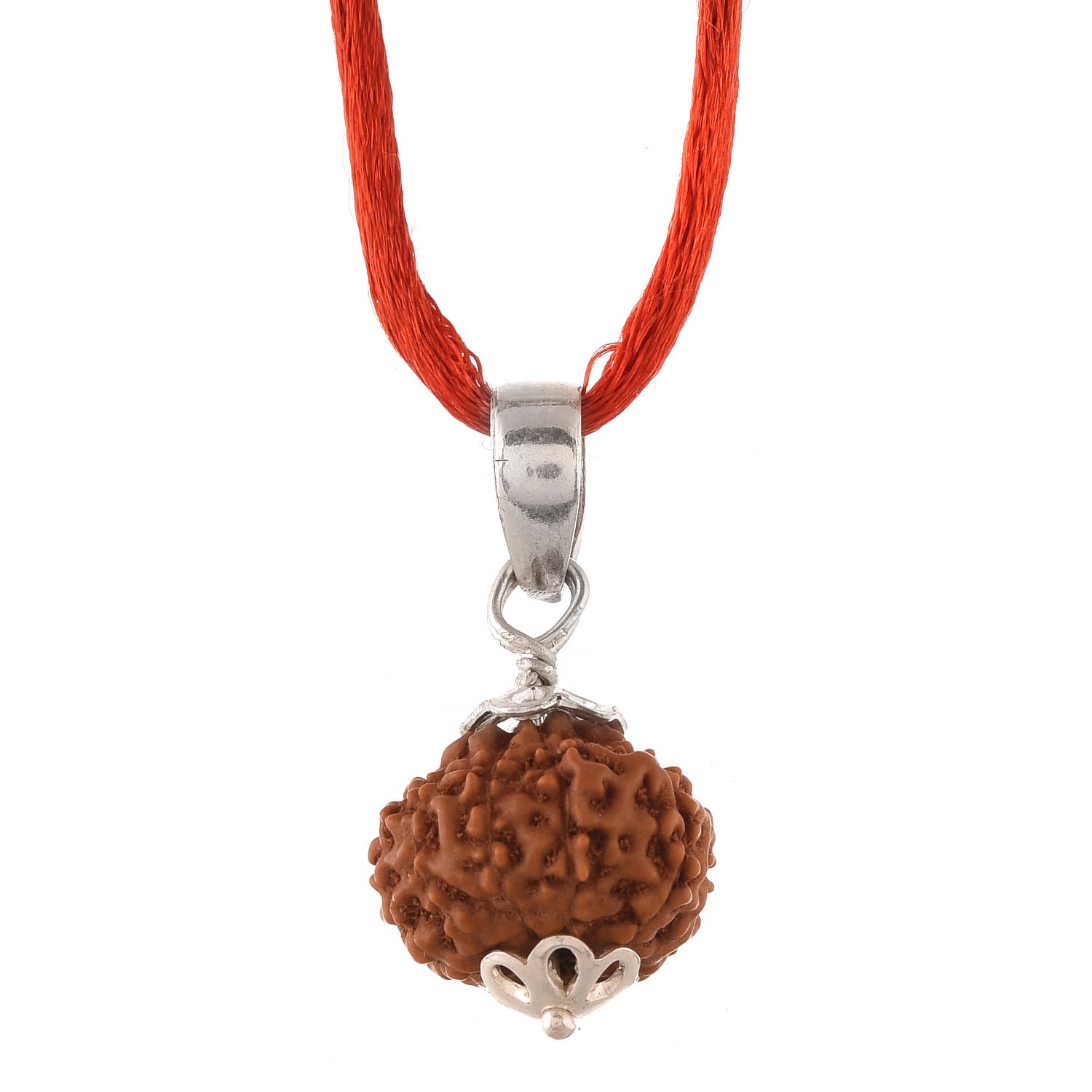Amorfos® Certified 10 Mukhi Rudraksha Pendant Indonesia (Brown)