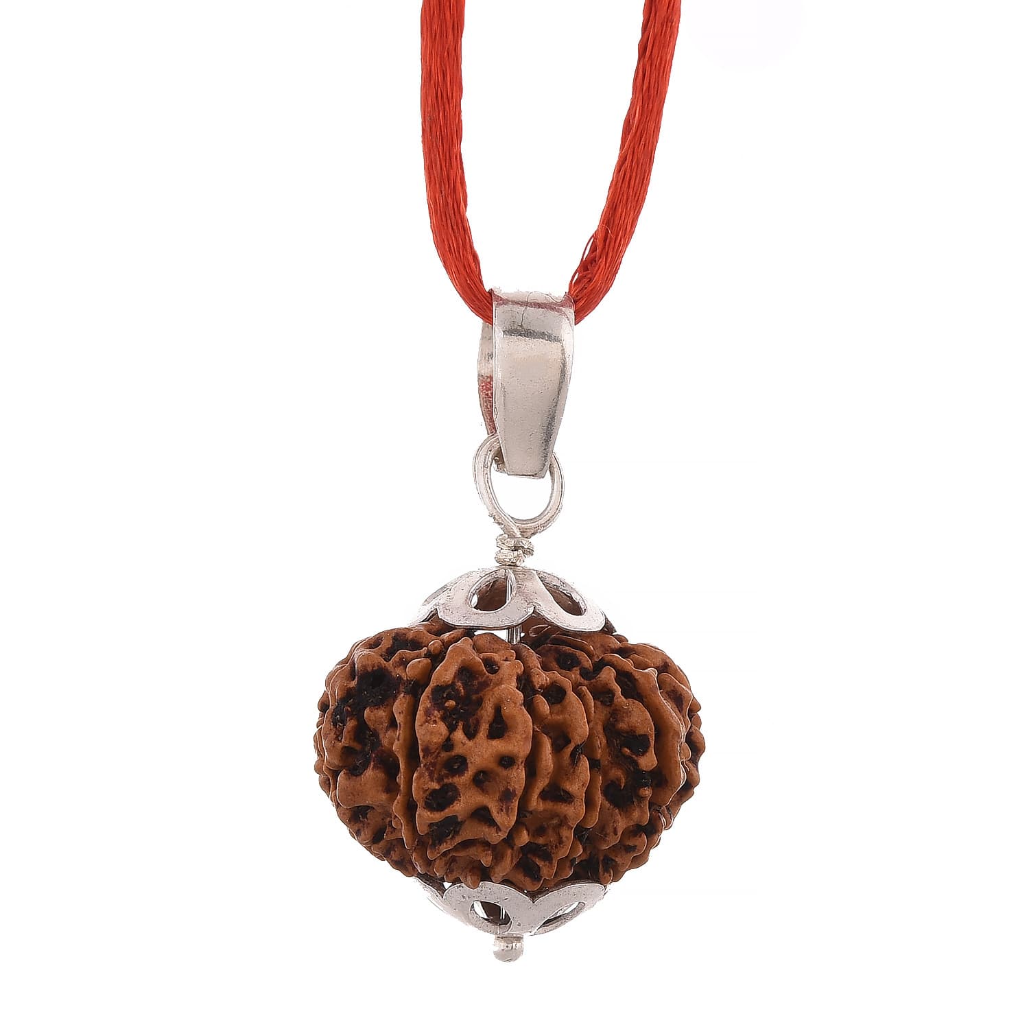 Amorfos® Certified 11 Mukhi Rudraksha Silver Pendant, Indonesia (Brown)