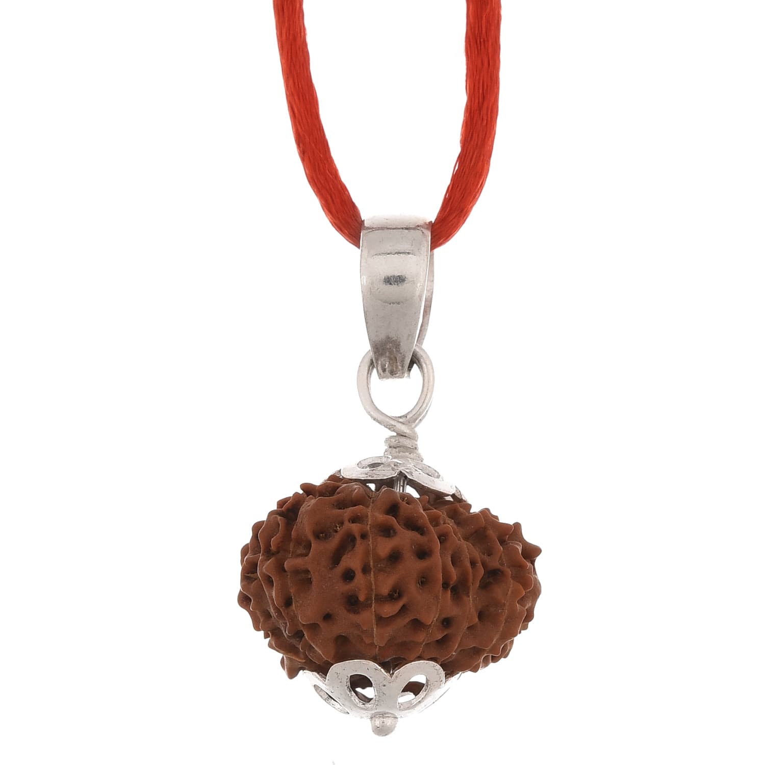Amorfos® Certified 12 Mukhi Rudraksha Silver Pendant, Indonesia (Brown)