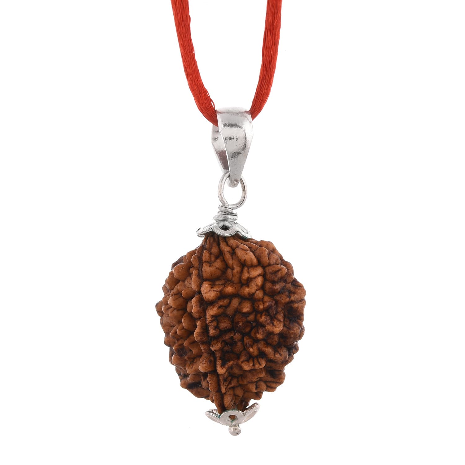 Amorfos® Lab Certified 2 Mukhi Rudraksha Pendant, Average Size Nepali Rudrakash Approx. 10-15mm, Unisex Pendant