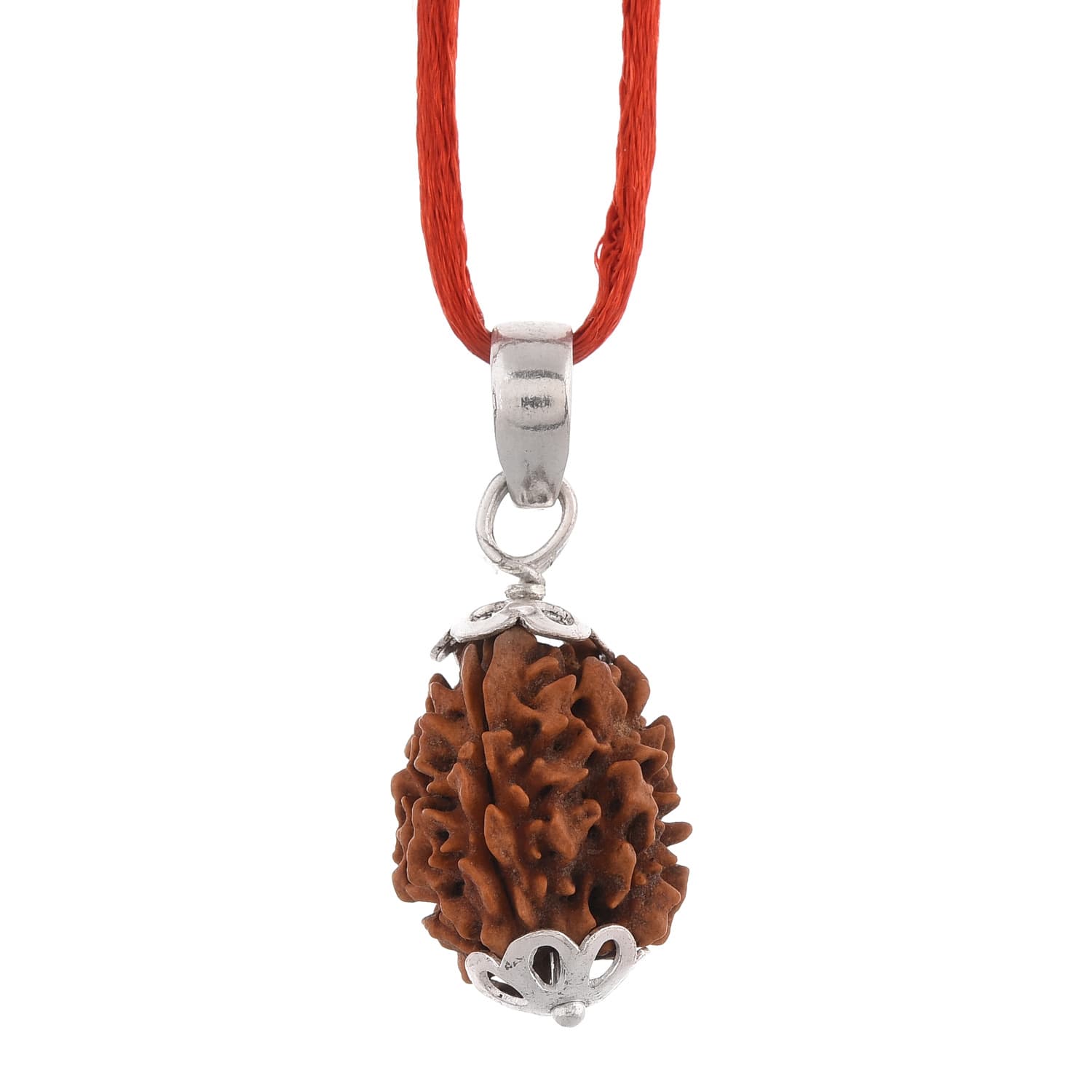 Amorfos® Lab Certified 3 Mukhi Rudraksha Pendant, Medium Size Indian Rudrakash (Haridwar) Approx 15-18mm, Unisex Pendant