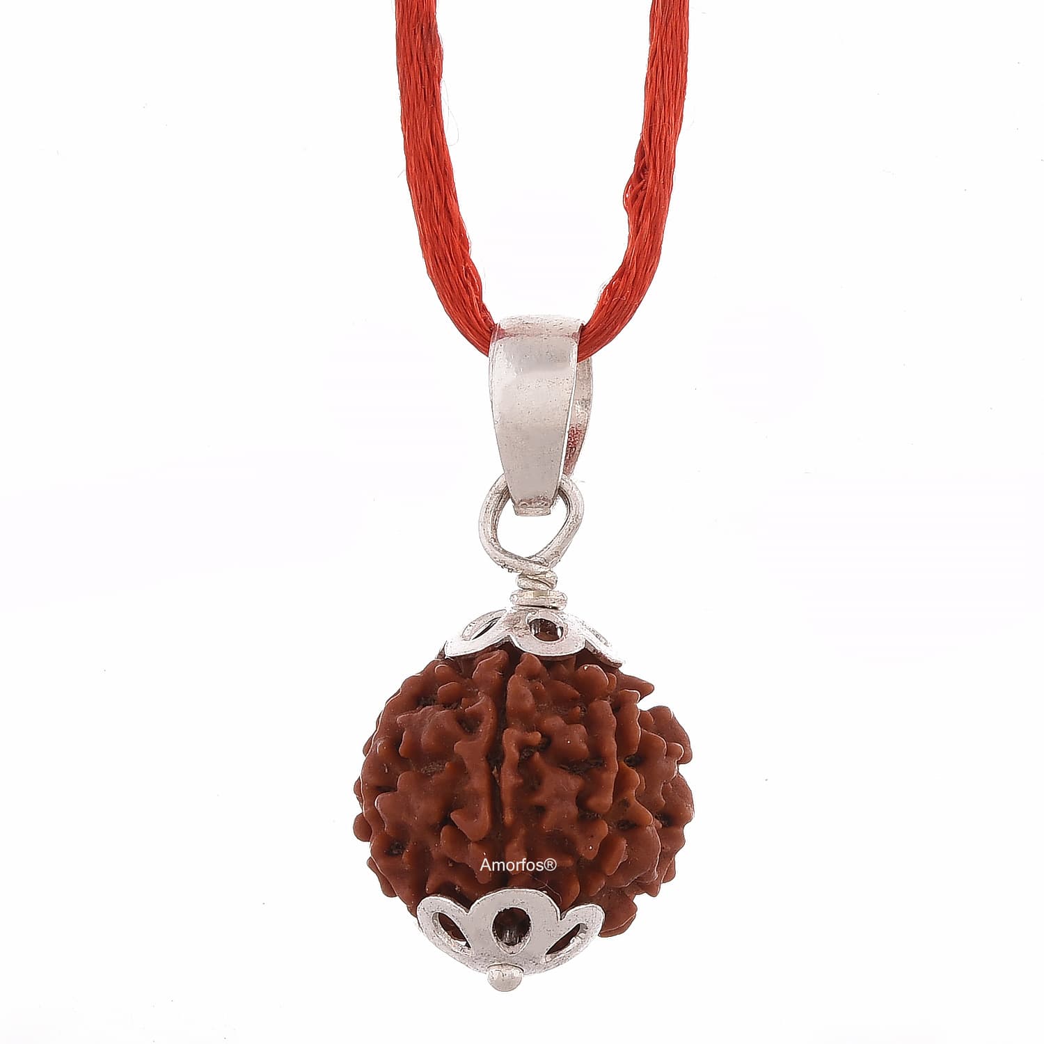 Amorfos® Certified 6 Mukhi Rudraksha Silver Pendant, Nepal, Approx. 18mm, Brown