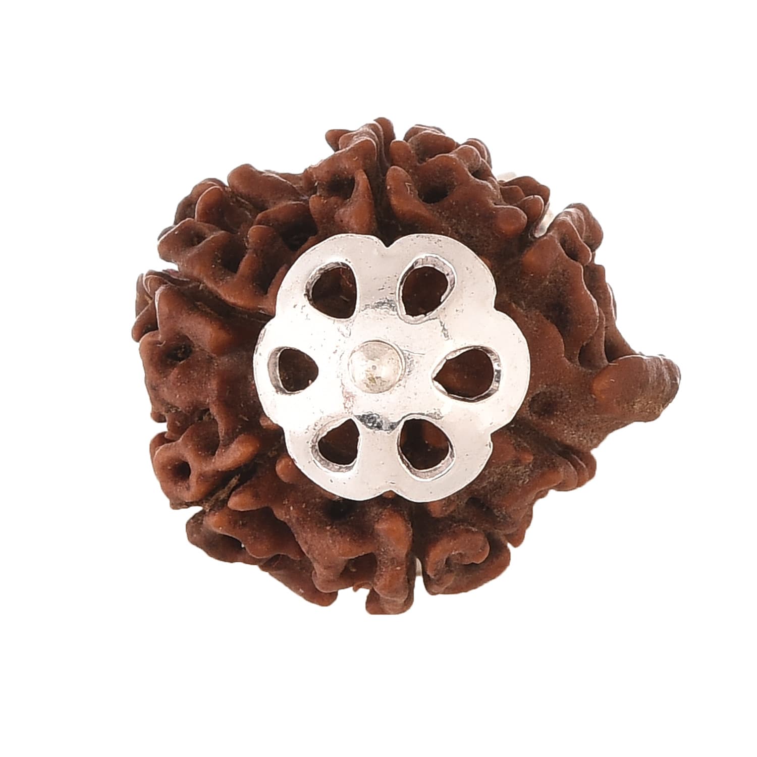 Amorfos® Lab Certified Ganesh Rudraksha Pendant, Size: 15-20mm (Nepali)