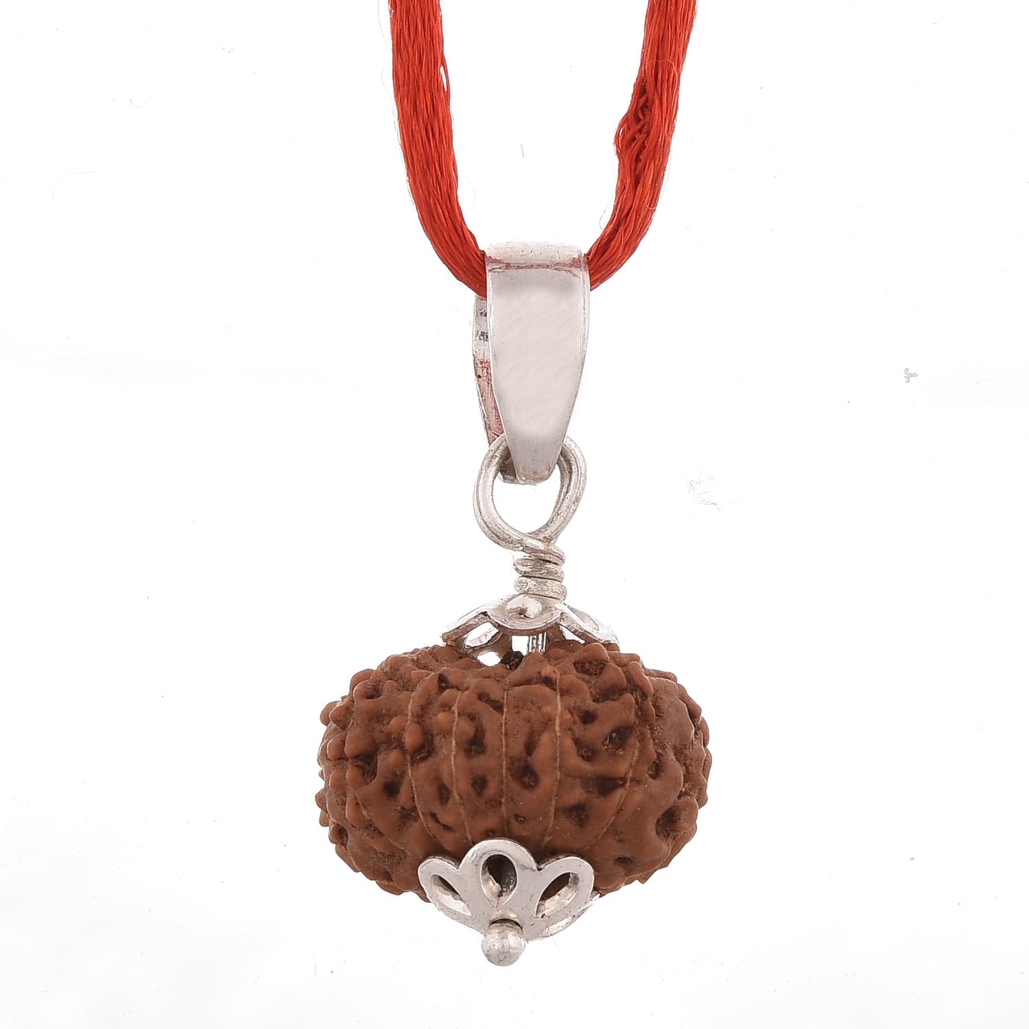 Amorfos® Certified 13 Mukhi Indonesian Rudraksha Pendant, (Brown)