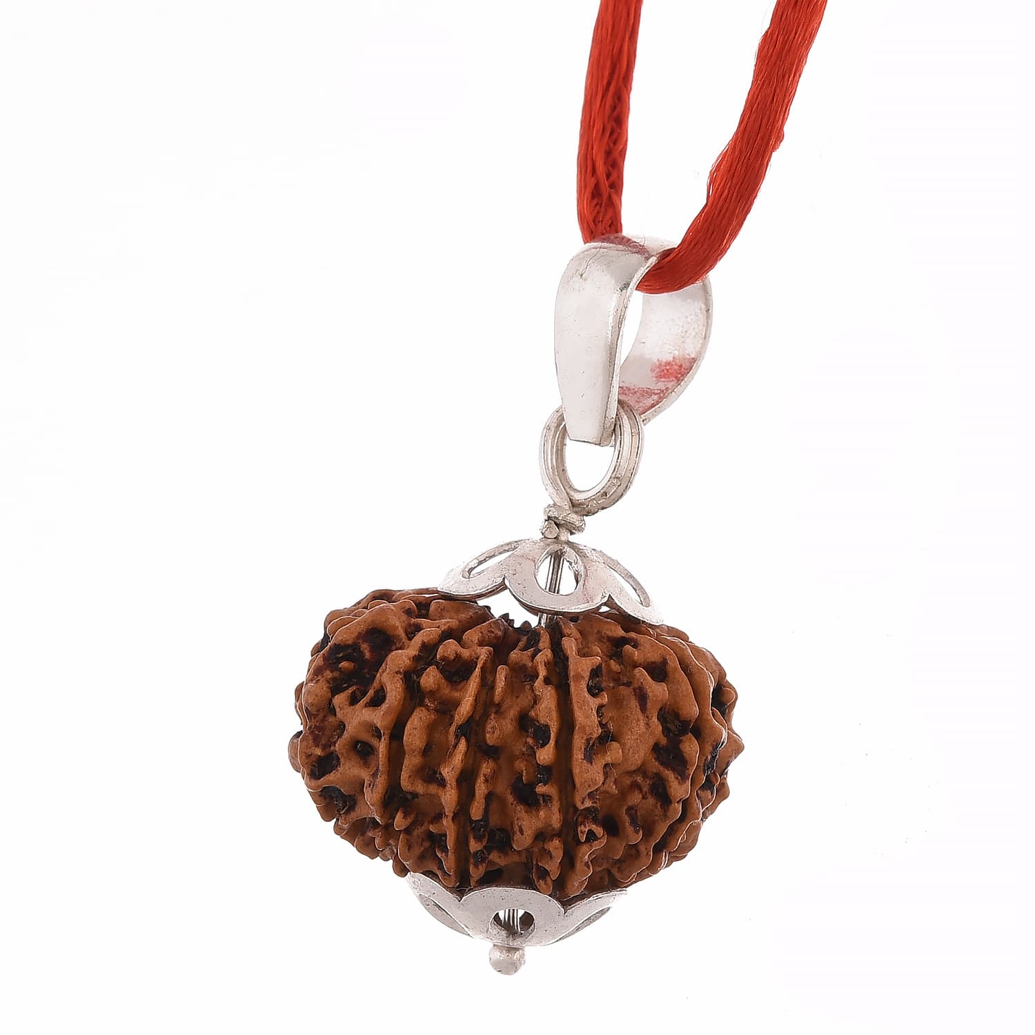 Amorfos® Certified 13 Mukhi Nepali Rudraksha Pendant, Nepal (Brown)