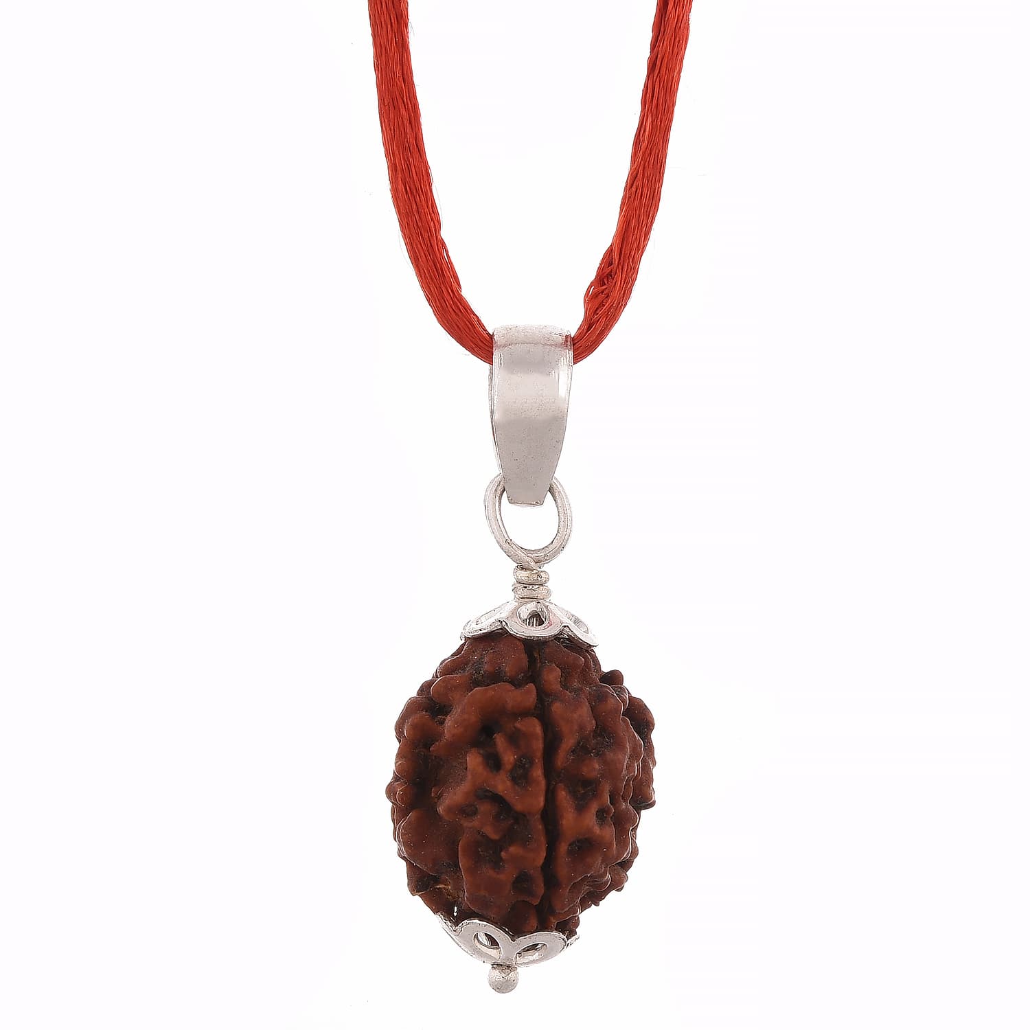 Amorfos® Certified 2 Mukhi Nepali Rudraksha Pendant, Nepal (Brown)
