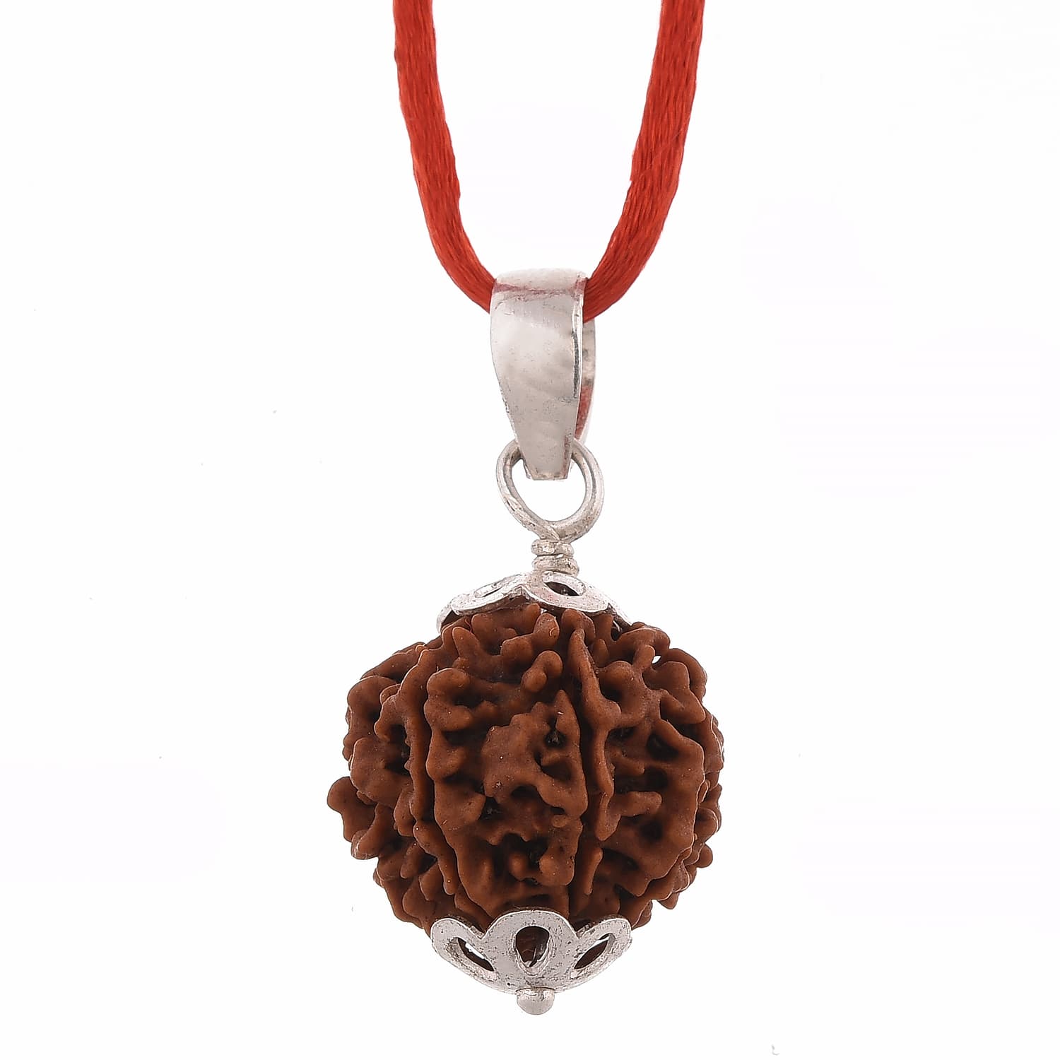 Amorfos® Lab Certified 7 Mukhi Nepali Rudraksha Pendant, Nepal (Brown)